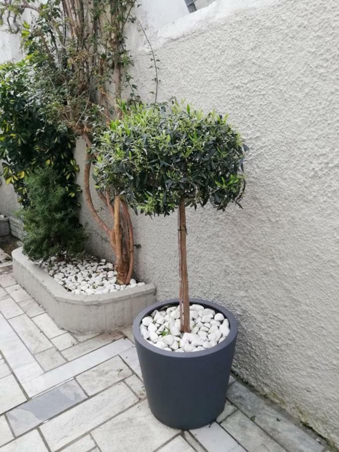 Pothos Hotel Skiathos-Stadt Exterior foto